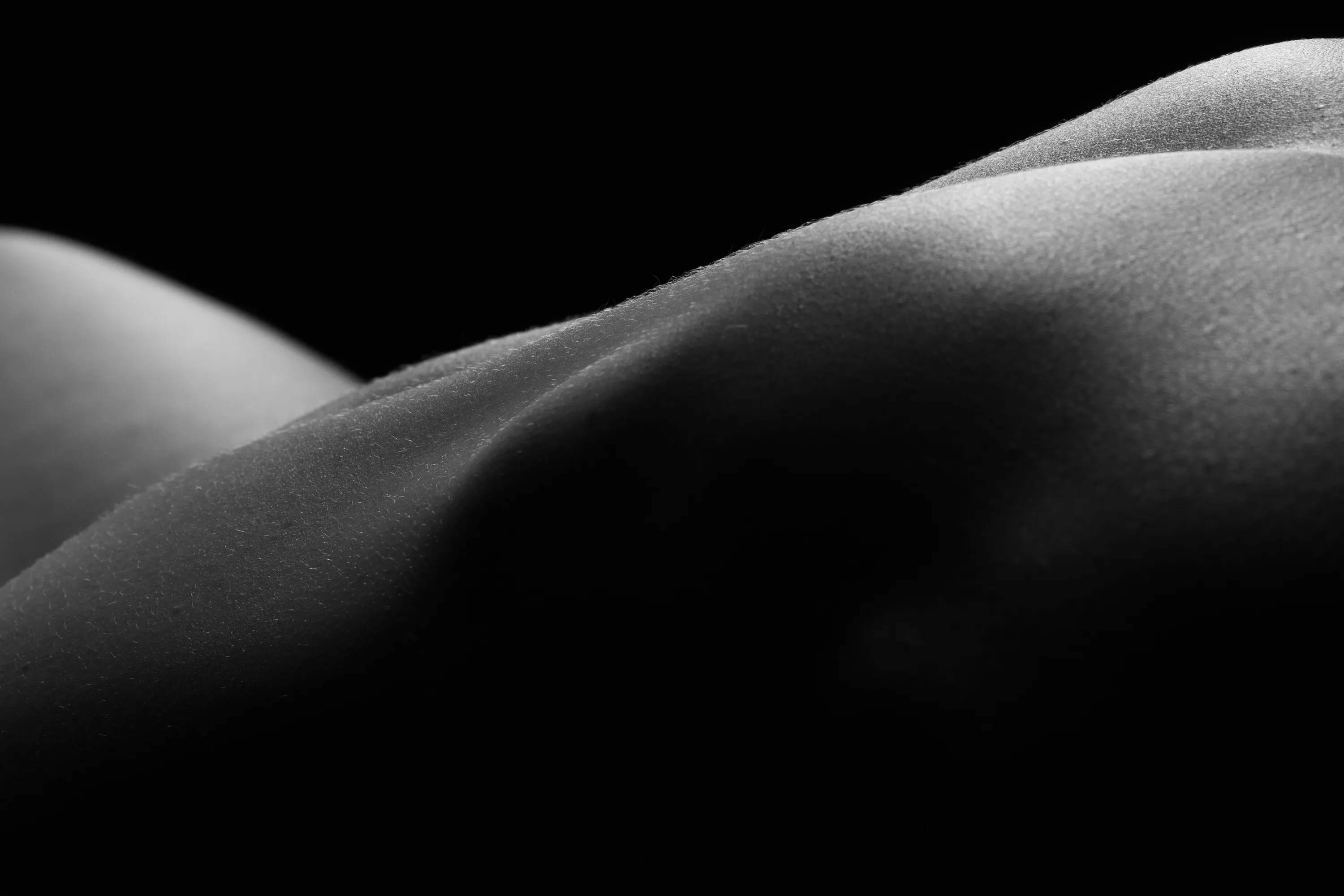 Close-up, abstract photograph of a woman's torso resembling a black-and-white landscape.