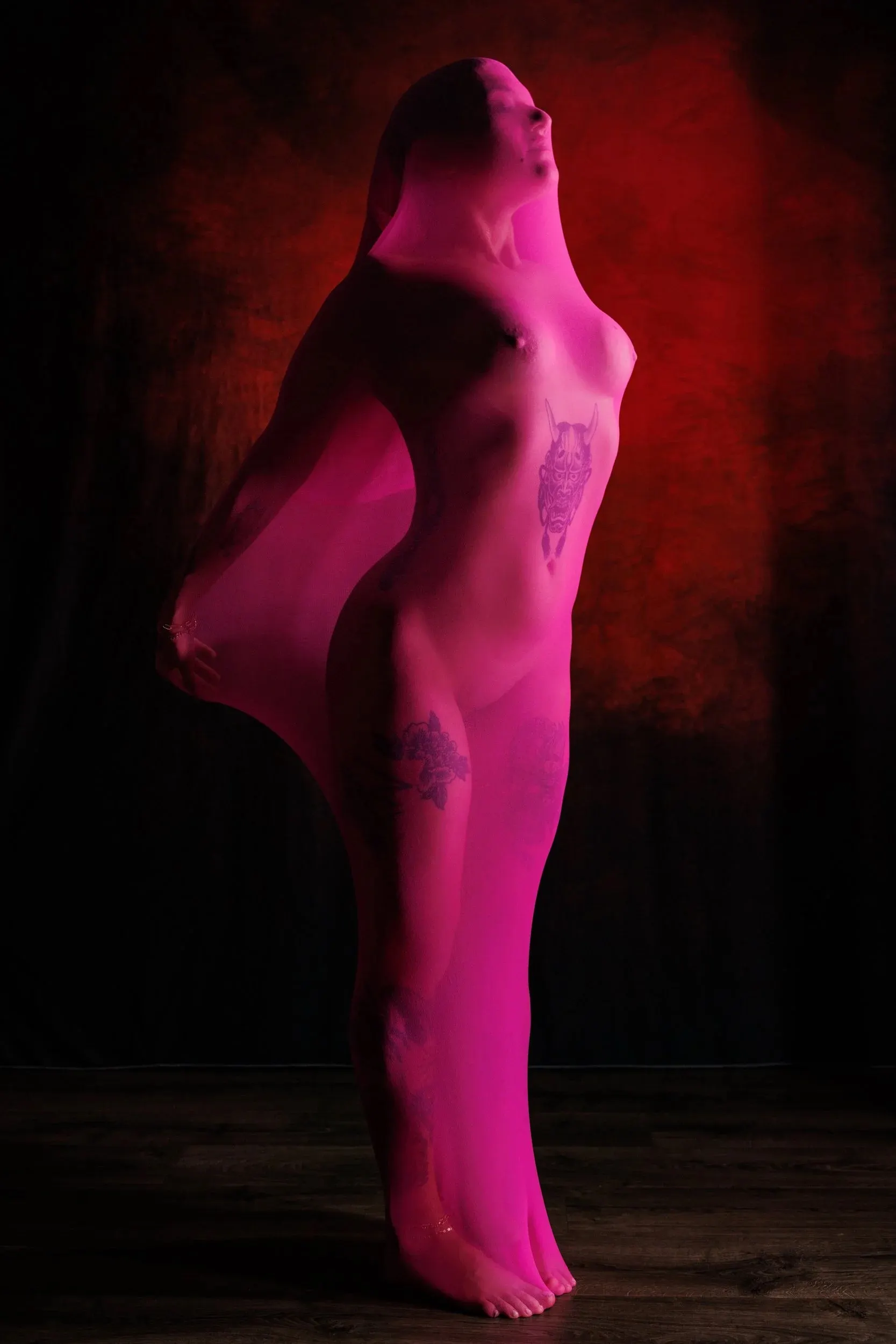 A figure arches inside a sheer cocoon against a red textured background.