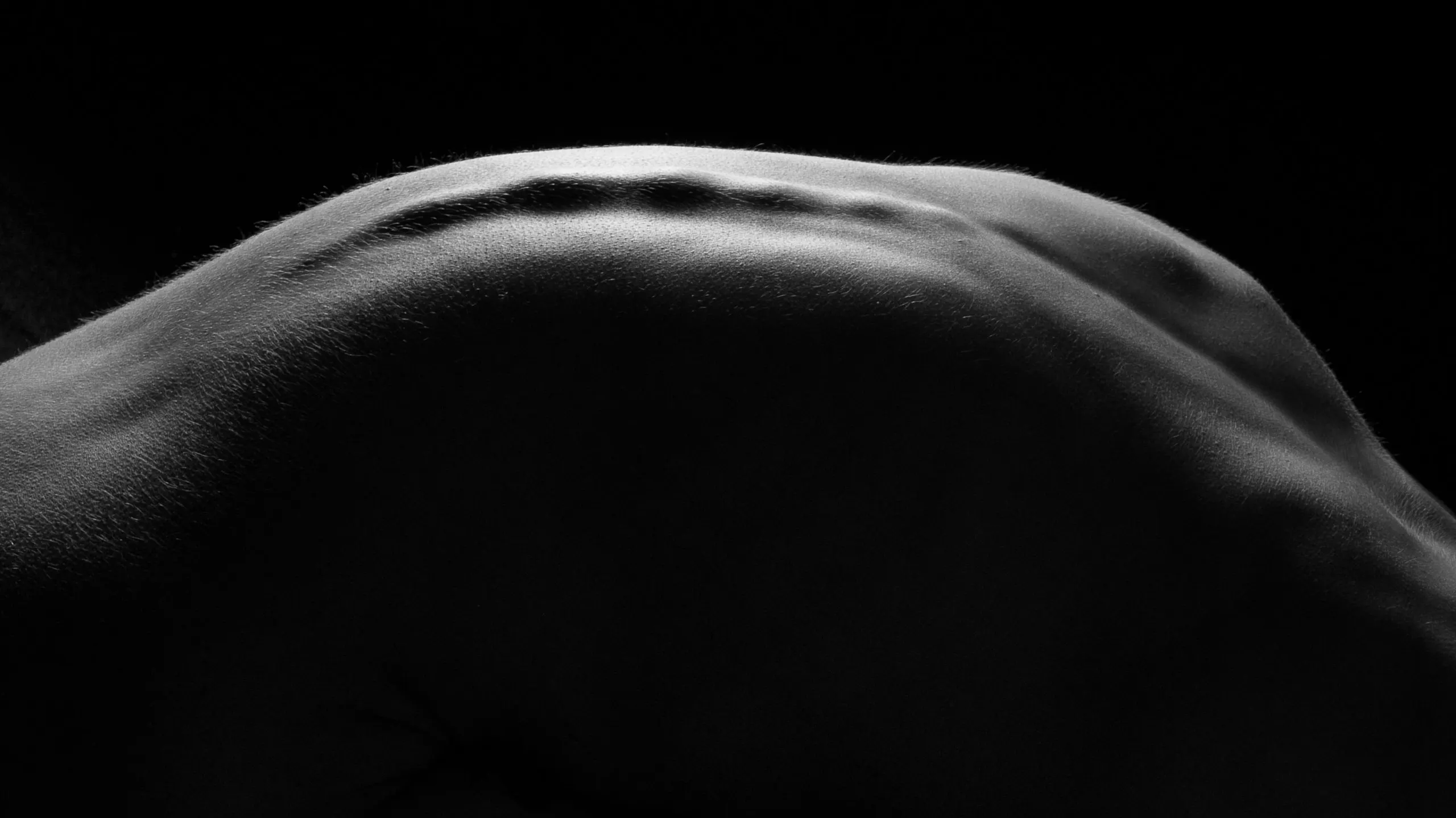 A close, abstract study of the shoulder and upper back, a single bright highlight following the muscle's curve into darkness.
