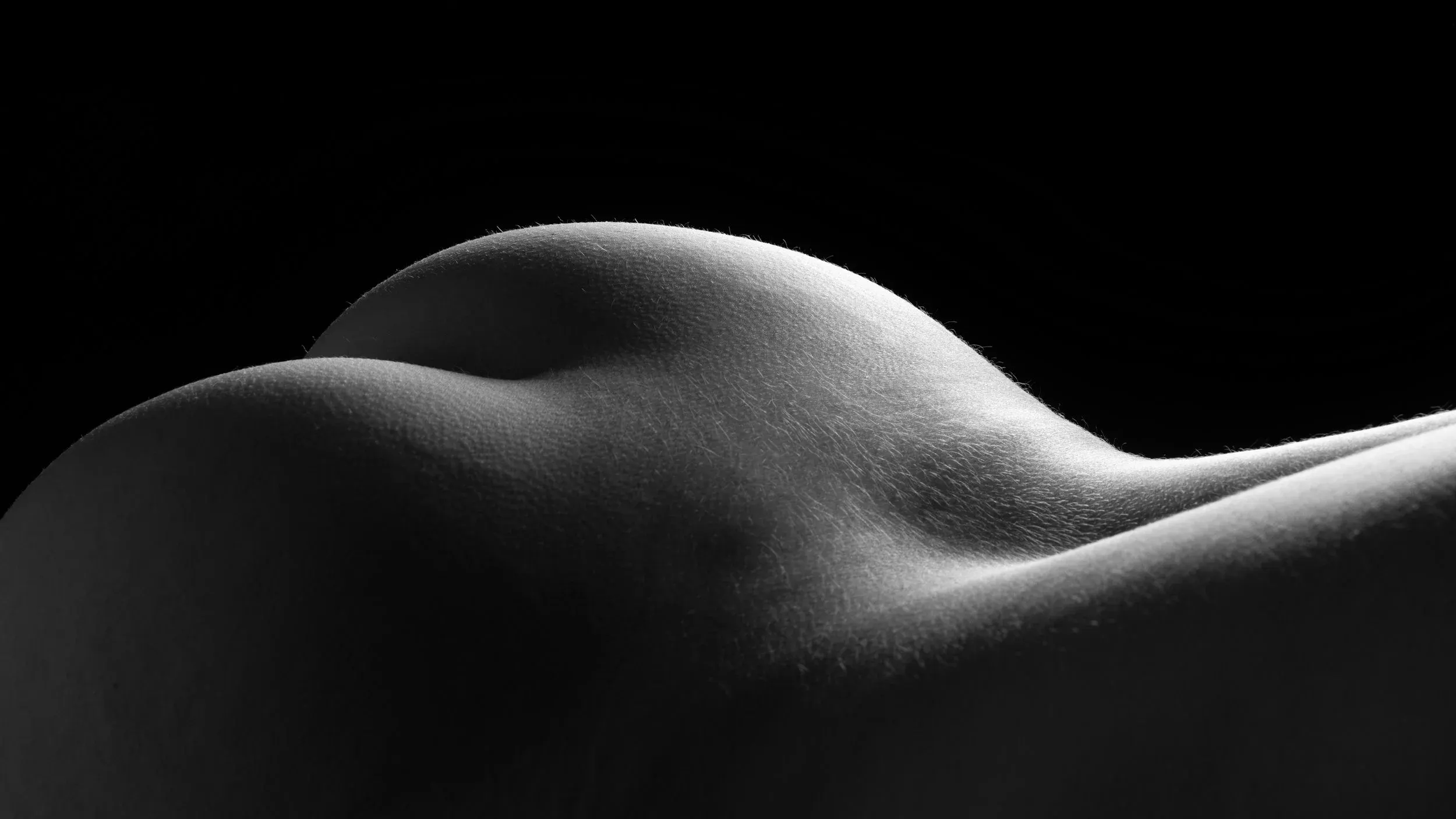 A close horizontal study follows a single luminous curve through darkness. Bodyscape.