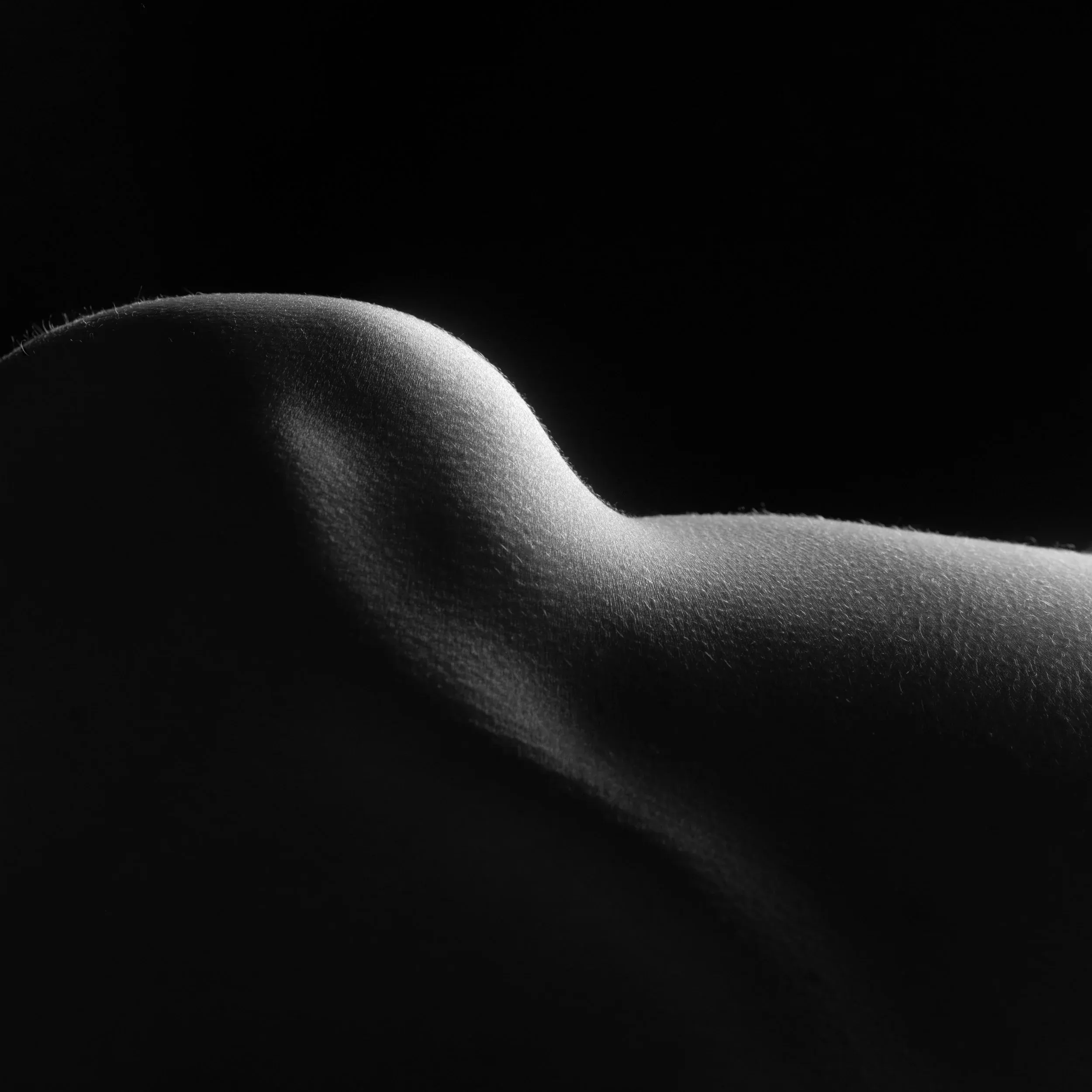 A close abstract bodyscape view turns a hip and thigh into smooth rolling forms.