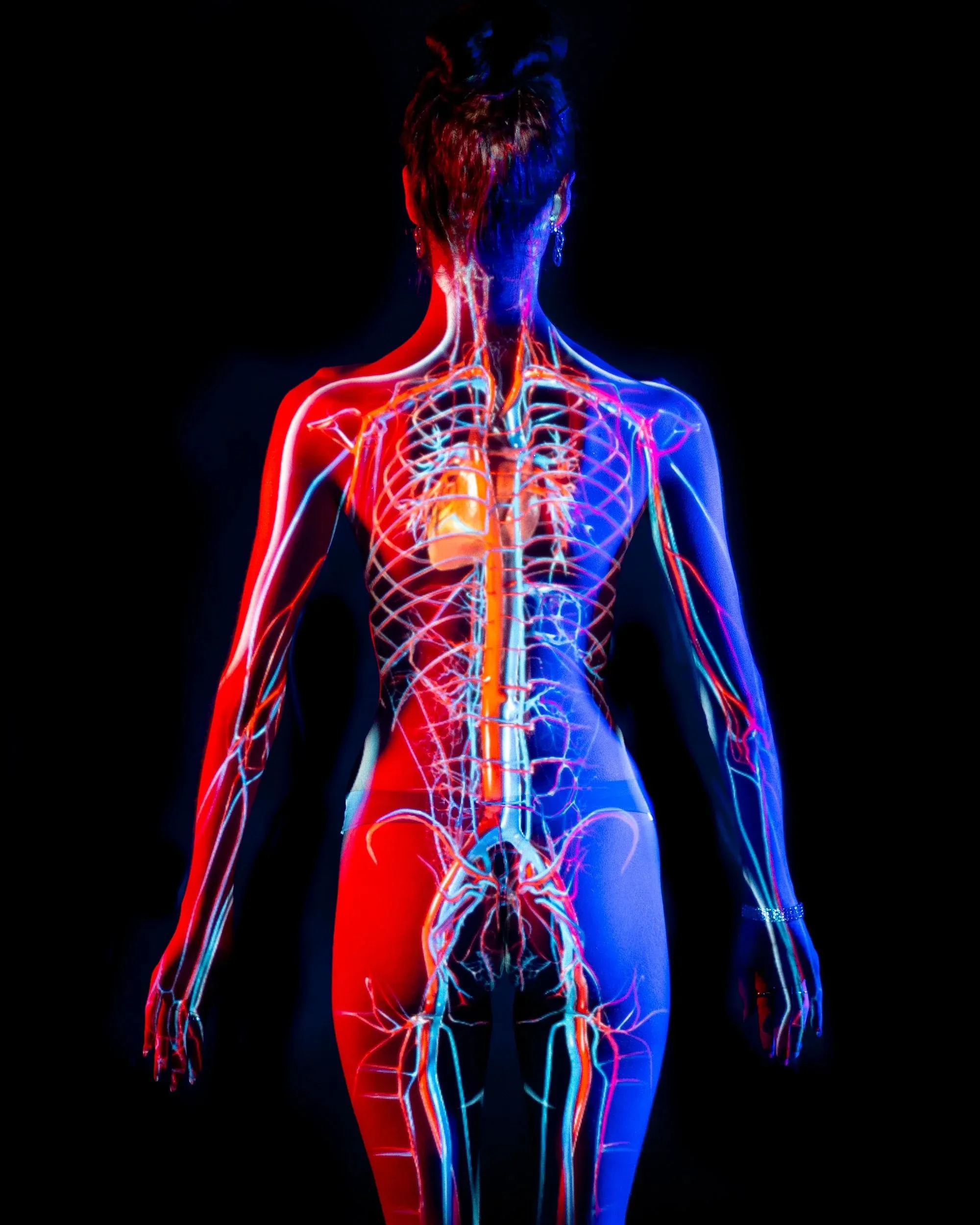 Red and blue light surrounds an anatomical projection on a standing figure.