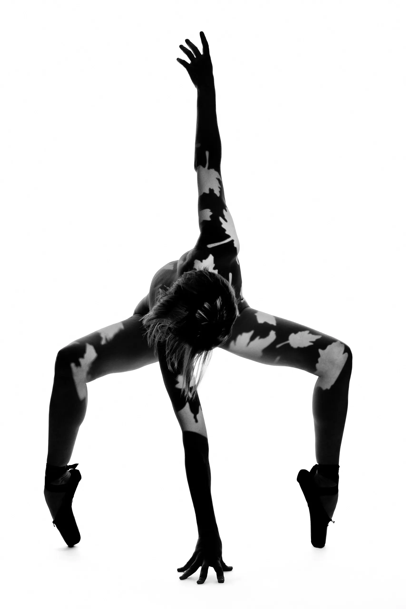 A dancer en pointe bends deeply forward, one arm reaching straight up, black-and-white maple-leaf shadows covering her entire body against a bright white backdrop.