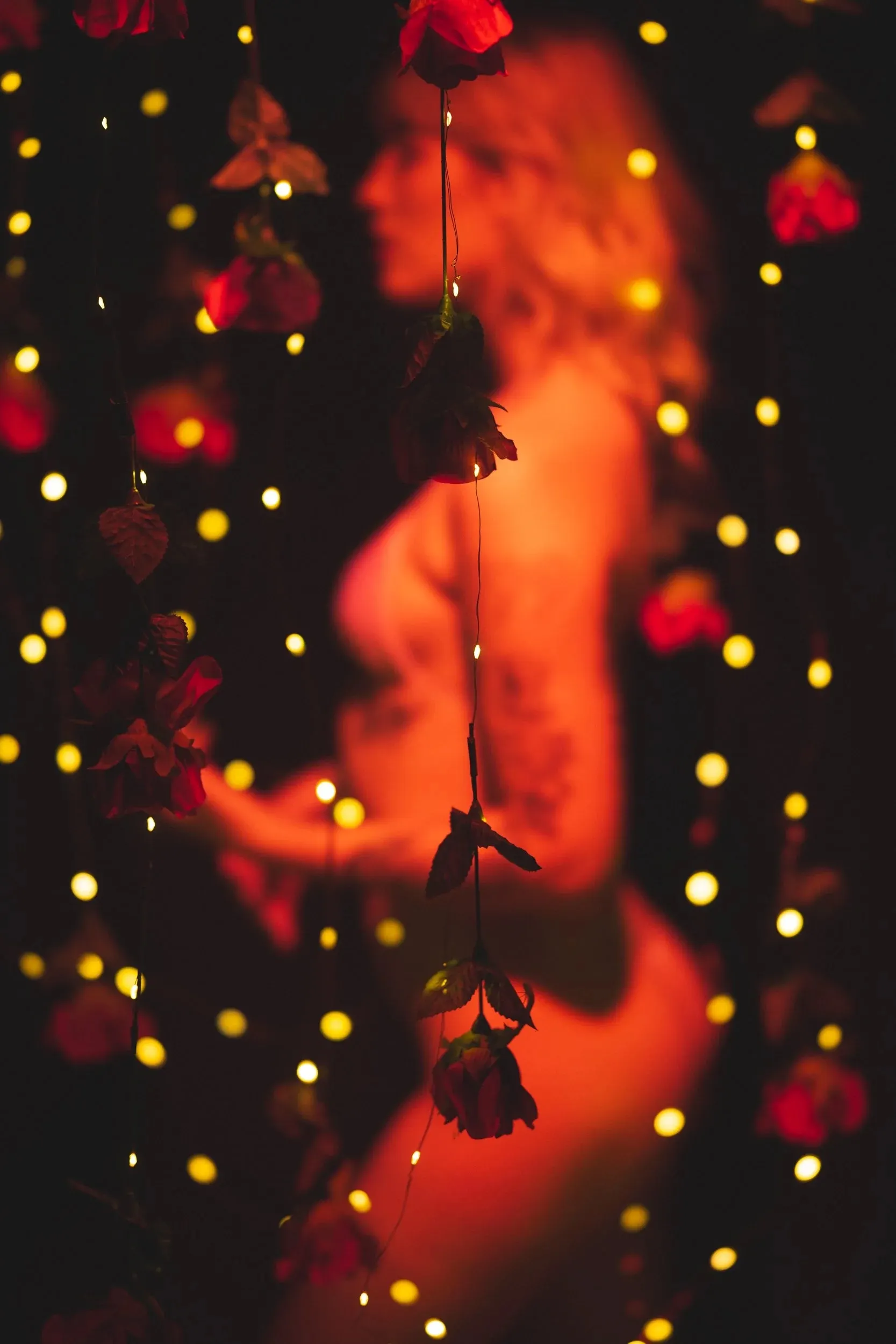 A woman stands among hanging roses and warm points of fairy light.